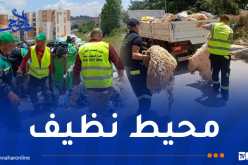 لضمان نظافة أحياء عدل في عيد الأضحى..جاست ايمو بروح من المسؤولية