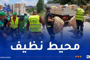 لضمان نظافة أحياء عدل في عيد الأضحى..جاست ايمو بروح من المسؤولية
