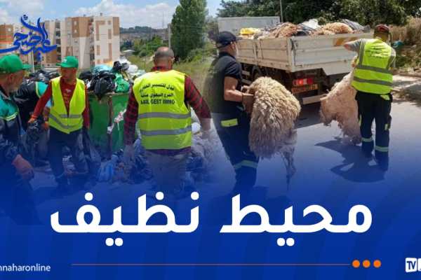 لضمان نظافة أحياء عدل في عيد الأضحى..جاست ايمو بروح من المسؤولية
