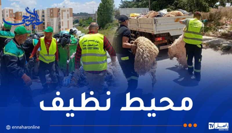 لضمان نظافة أحياء عدل في عيد الأضحى..جاست ايمو بروح من المسؤولية