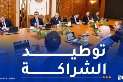 عطاف يجري محادثات مع نظيره المصري