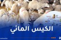 الكيس المائي: حملة للوقاية ومكافحة الداء