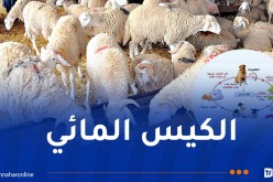 الكيس المائي: حملة للوقاية ومكافحة الداء