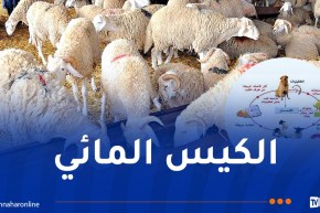 الكيس المائي: حملة للوقاية ومكافحة الداء