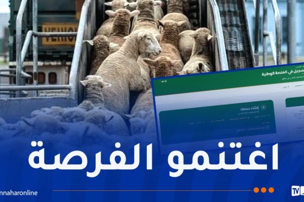 منصة “أضاحي” مفتوحة في هذه الولايات
