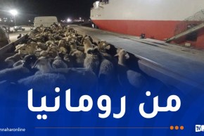 ميناء جيجل يستقبل أزيد من 18 ألف رأس غنم