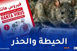 فيروس هانتا: الهلال الأحمر يدعو إلى الوقاية