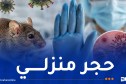 حالات مؤكدة بسلاسة فيروس هانتا.. وحجر منزلي في بريطانيا