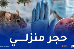 حالات مؤكدة بسلاسة فيروس هانتا.. وحجر منزلي في بريطانيا