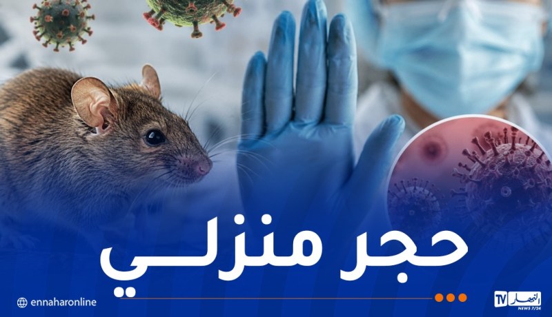 حالات مؤكدة بسلاسة فيروس هانتا.. وحجر منزلي في بريطانيا