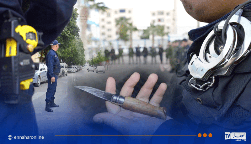 الشلف.. توقيف 14 شخصا مع حجز مخدرات وأسلحة بيضاء