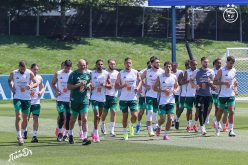 بالصور.. المنتخب الوطني يستأنف تدريباته استعدادا لمواجهة النمسا
