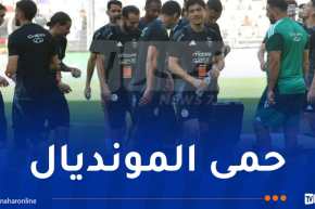 “الخضر” يغادرون عصر اليوم إلى “روتردام” الهولندية