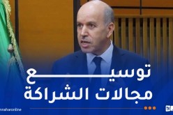 سايحي يبحث سبل تعزيز التعاون مع مصر