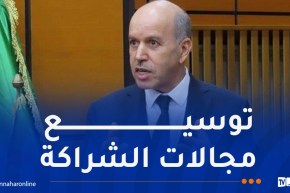 سايحي يبحث سبل تعزيز التعاون مع مصر