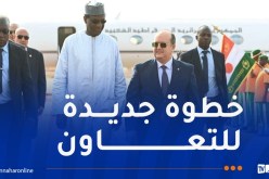 الوزير الأول: التعاون بين الجزائر والنيجر قد دخل مرحلة جديدة