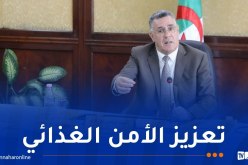 وزير الري: توسيع المساحات المسقية ضروري لتطوير النشاط الفلاحي