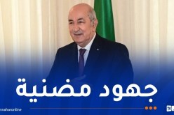 رئيس الجمهورية يٌهنئ ويُشجع عمال وإطارات قطاع الأشغال العمومية والمنشآت القاعدية