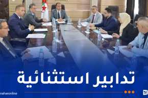 وزارة الرياضة تزف أخبارًا هامة لرياضيي المستوى العالي