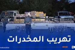 جمارك بشار تحجز أزيد من 238 ألف قرص “بريغابالين”