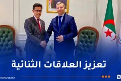 ركاش يستعرض سبل تفعيل الدبلوماسية الاقتصادية بين الجزائر والصومال