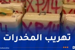 الحرس المدني الإسباني يحجز 4.8 طن حشيش قادمة من المغرب 