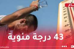 نشرية خاصة.. استمرار موجة الحر إلى غاية الاثنين
