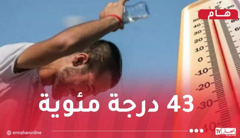 نشرية خاصة.. استمرار موجة الحر إلى غاية الاثنين