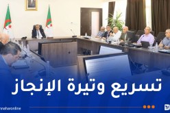 جلاوي يترأس اجتماعا لمتابعة إنجاز البنى التحتية لمشروع غارا جبيلات