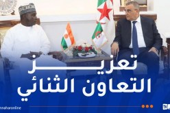 إنشاء لجنة تقنية قطاعية “جزائرية–نيجرية” لمتابعة برامج التعاون في الأشغال العمومية