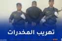جمارك.. حجز كمية معتبرة من الكيف والمهلوسات ببشار وسطيف