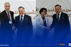 إنطلاق اللقاء التأسيسي للمجلس الأعلى للجالية العلمية الوطنية بالخارج