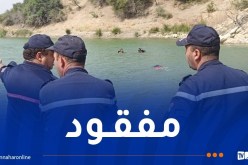 البحث عن غريق مفقود داخل مجمع مائي بالطارف