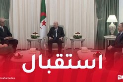رئيس الجمهورية يستقبل سفيرة الدانمارك