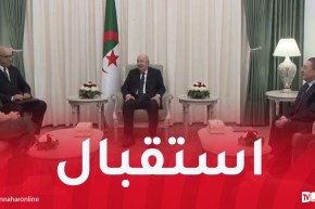 رئيس الجمهورية يستقبل سفيرة الدانمارك