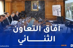 وزير المحروقات يستعرض واقع التعاون الثنائي مع وزير البترول لجمهورية النيجر