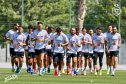 بالصور.. المنتخب الوطني يجري آخر حصة تدريبية قبل التوجه إلى هولندا