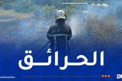 أخمد منها 19 نهائيا.. تسجيل 25 حريقا خلال يوم واحد