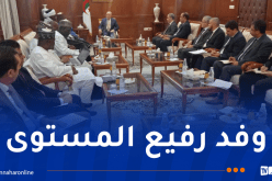 وزير الشؤون الدينية يستقبل وفدا من جمهورية النيجر