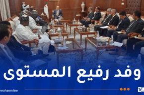 وزير الشؤون الدينية يستقبل وفدا من جمهورية النيجر