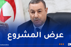 سعيود يُشرف على اجتماع اللجنة الوطنية للوقاية من عصابات الأحياء ومكافحتها