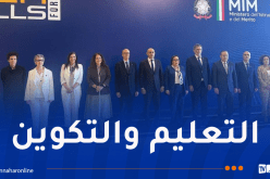 الجزائر تشارك في أشغال المنتدى الدولي “TechSkills Forum” بالقاهرة