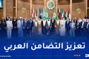 ناصري: احترام السيادة الوطنية مبدأً ثابت لا يقبل المساومة