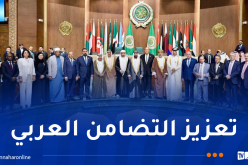 ناصري: احترام السيادة الوطنية مبدأً ثابت لا يقبل المساومة