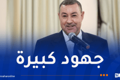 سعيود: تخصيص أكثر من 11 مليار دينار لتهيئة الشواطئ والواجهات البحرية