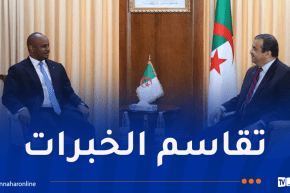 وزير المحروقات يستقبل وفدا من سلطة ضبط قطاع النفط للمصب بجمهورية تشاد