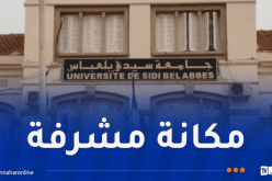 تصنيف 9 مؤسسات جامعية جزائرية ضمن أفضل 2250 جامعة عالمياً