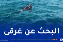 البحث عن مفقودين في البحر بتيبازة