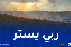 البويرة.. إندلاع حريق كبير في محاصيل زراعية بعين الترك