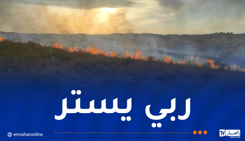 البويرة.. إندلاع حريق كبير في محاصيل زراعية بعين الترك